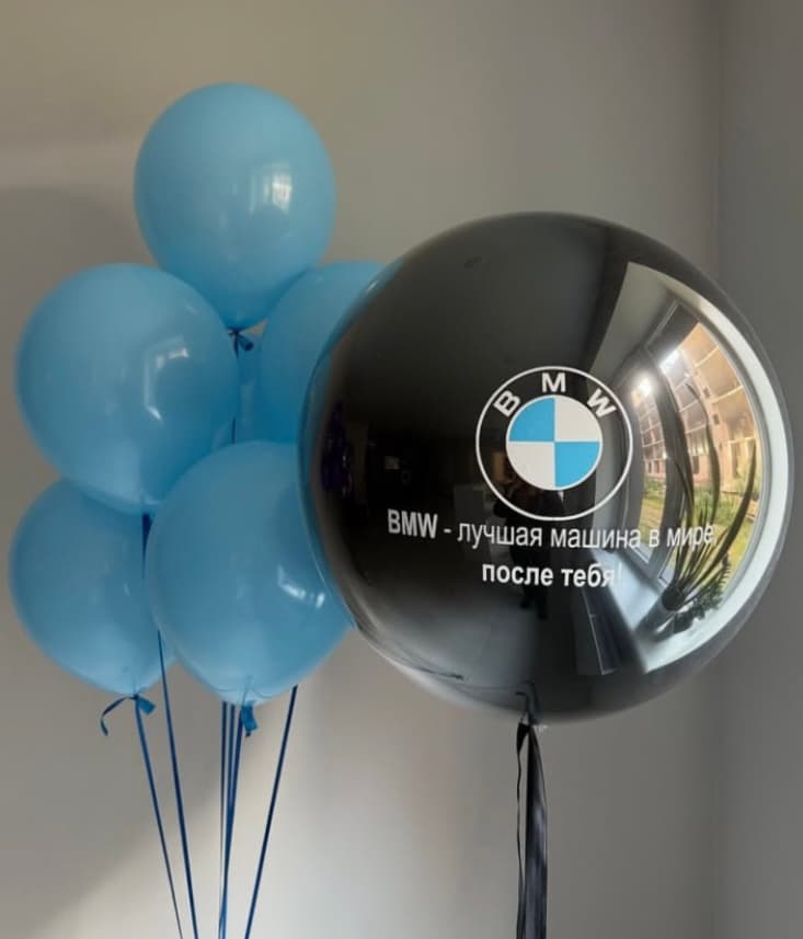Любителю BMW (фото 1)