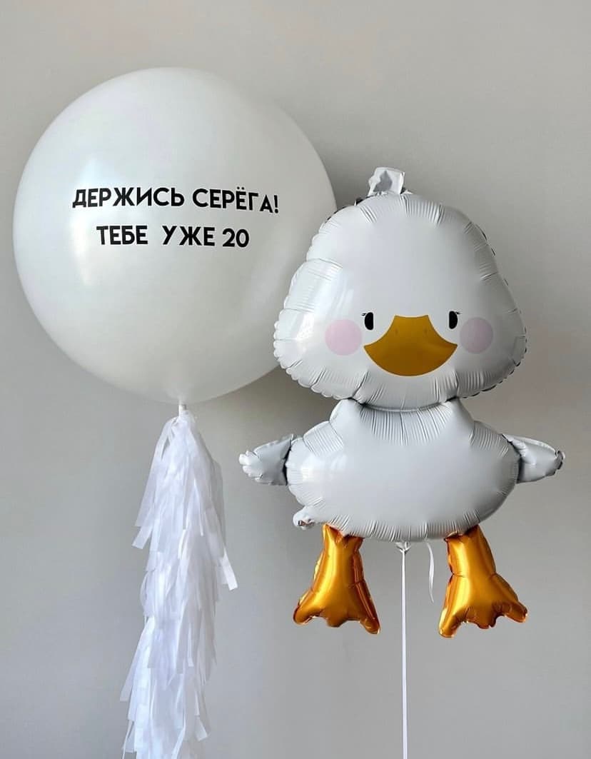 Набор шаров с уткой (фото 1)