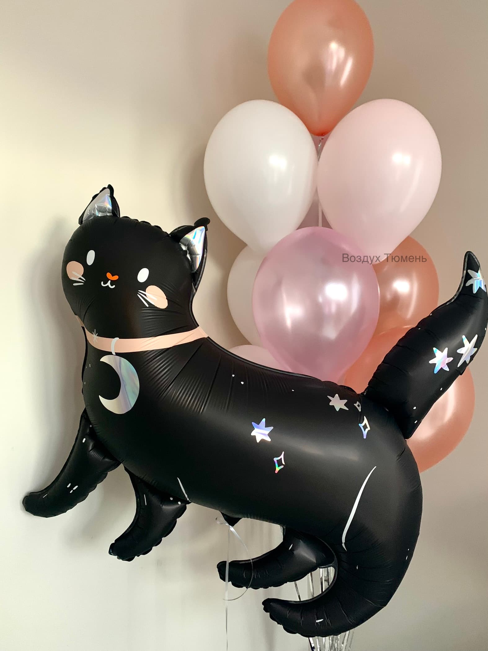 С черной кошечкой (фото 1)