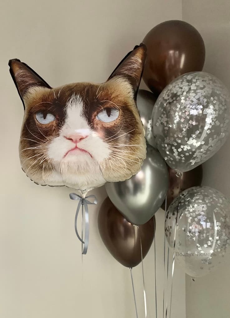 С недовольным котиком