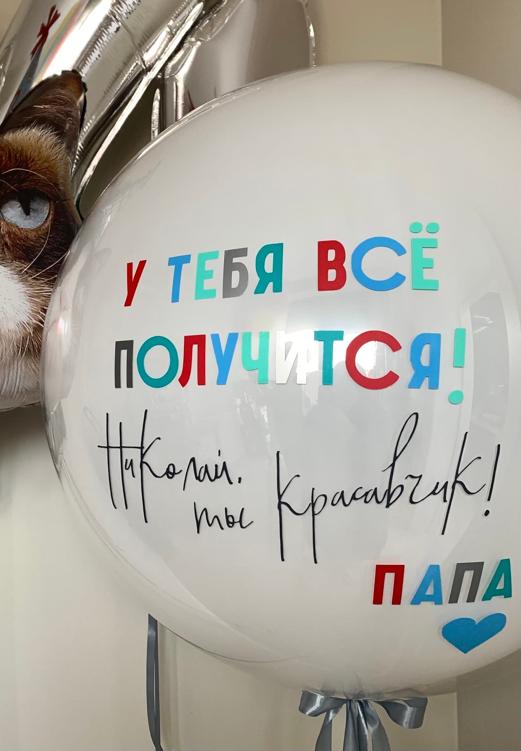 С котиком и большим шаром (фото 2)